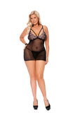 Ultra Sheer Curvy Teddy